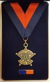 Honor Award Public Service